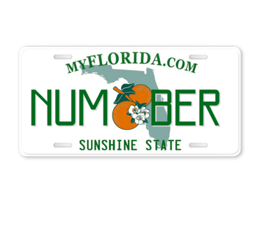 Florida License Plate - Data Upload